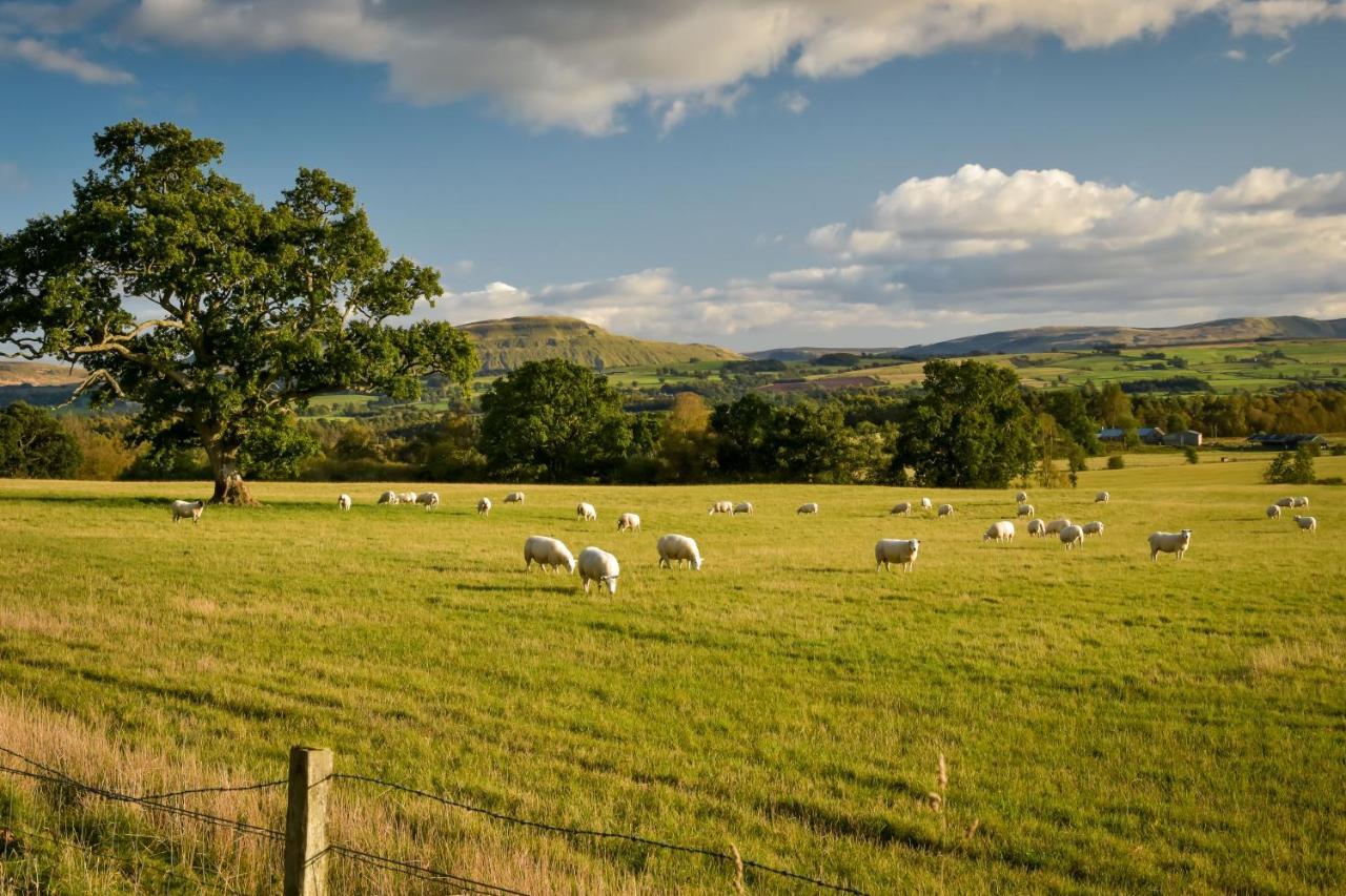 Cardross Holiday Cottages Arnprior Εξωτερικό φωτογραφία
